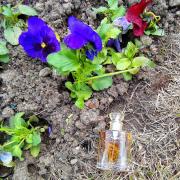 Photo by Cinnamon1970