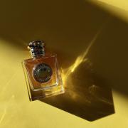 Goddess Burberry Perfume - A New Fragrance For Women 2023