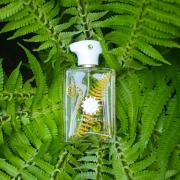 Bracken Man Amouage cologne a fragrance for men 2016