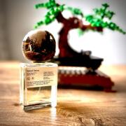 Naked Dance .Oddity perfume - a fragrance for women and men 2021