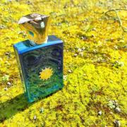 Figment Man Amouage cologne - a fragrance for men 2017 Figment Man Amouage cologne - a fragrance for men 2017