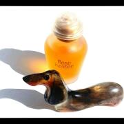 Photo by Лейка@@@