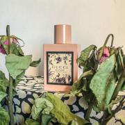 Fragrantica gucci clearance bloom