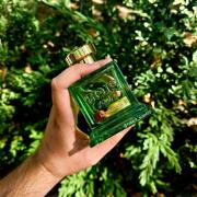 Photo by laurentiurobert529