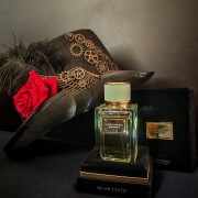 Velvet Infusion Dolce&Gabbana perfume - a new fragrance for women