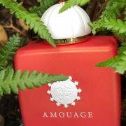 amouage bracken fragrantica