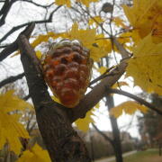 Photo by Vibia Sabina