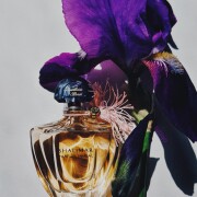 Guerlain Shalimar Parfum Initial L'Eau Guerlain 香水 - 2012年の