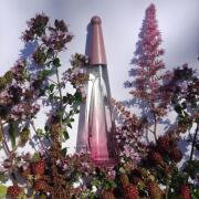 L'Eau d'Issey Solar Violet Issey Miyake