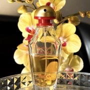 Samsara Shine Guerlain perfume - a fragrance for women 2001