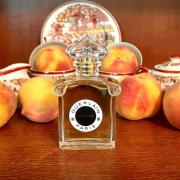 Photo by Cobfiona-loxia