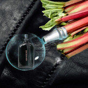 Boris Bidjan Saberi Boris Bidjan Saberi perfume - a fragrance for
