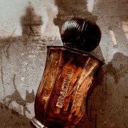 Dracula Villa Erbatium 香水- 一款2025年新的中性香水