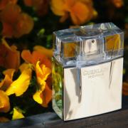 Photo by amirrezaajalli