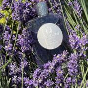 Photo by NevashaMasha