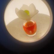 Photo by StellaDiMare