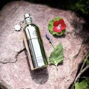 Photo by NevashaMasha