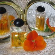 Armani Giorgio Armani perfume - a fragrance for women 1981