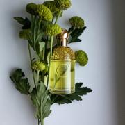 Aqua Allegoria Tutti Kiwi Guerlain perfume - a fragrance for