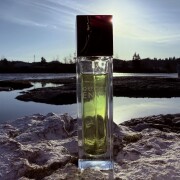 Envy Gucci parfum - un parfum de dama 1997