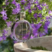 Chance Eau Splendide Chanel perfume - a new fragrance for