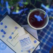 Photo by Engel desTodes