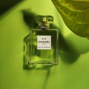 Chanel No 19 Eau de Parfum Chanel perfume - a fragrance for women
