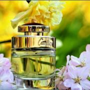 Baiser Fou Cartier perfume a fragrance for women 2017