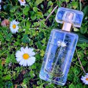 香水(女性用) beyond paradise Beyond Paradise By Estee Lauder For Women. Eau De Parfum