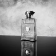 Reflection Man Amouage cologne a fragrance for men 2006