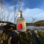 Photo by симонетта веспуччи