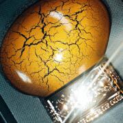 Photo by Carina Ferrreira