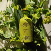 A Floral Verse Gucci perfume - a fragrância Compartilhável 2023