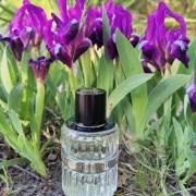 1979 New Wave Les Bains Guerbois perfume - a fragrance for 1979 New Wave Les Bains Guerbois perfume - a fragrance for