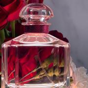 Guerlain Mon Guerlain Bloom of Rose EDP – The Fragrance Decant