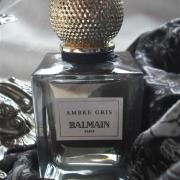 Ambre Gris Balmain a fragrance for women 2008