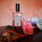 Five O'Clock Au Gingembre Serge Lutens perfume - a fragrance for women ...