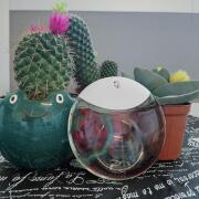 Photo by YogaMermaid