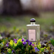 Bois de Violette Serge Lutens perfume - a fragrance for women and