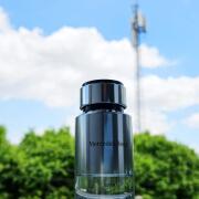 Photo by Morteza motahari m