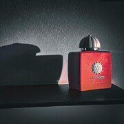 Love Delight Amouage 香水- 一款2024年女用香水