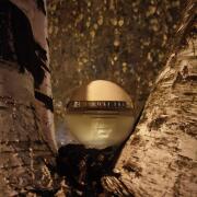 Photo by fabrice1977