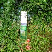 Photo by Элла Шевченко