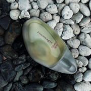 Photo by ShiraJemJem