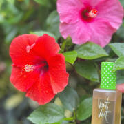 Photo by Josetran1987