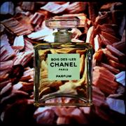 Bois Des Iles Parfum Chanel perfume - a fragrance for women and men