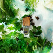 Absinth Nasomatto perfume - a fragrance for women and men Absinth Nasomatto perfume - a fragrance for women and men