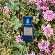 Costa Azzurra Acqua Tom Ford perfume - a fragrance for women