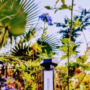 Photo by manonlescaut