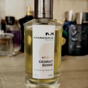 Photo by SteluStelly